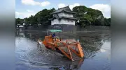 皇居のお濠で水草回収船による刈り取り作業が進行中
