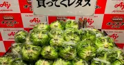 なぜ松子デラックスがレタスに？夏の食品ロス防ぐ意外なコラボ