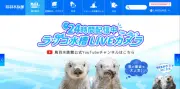 日本の水族館からラッコが消えた理由 122頭からわずか2頭に激減