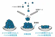 大人になると時間が速く感じる科学的理由とは？内的時計と記憶の影響