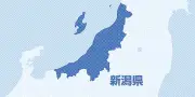 佐渡島の野生トキ、今年の巣立ちヒナは35羽 昨年より5羽減少