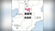 近鉄奈良線富雄駅で29歳女性が快速急行にはねられ死亡、運転士「ふらつき転落」、約1万6000人に影響
