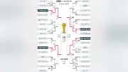 サッカーW杯準決勝 フランス対スペイン 経験と相性の対決
