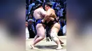 大相撲夏場所、横綱照ノ富士が全勝で優勝