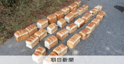 大山の県道に食パン39キロ投棄 鳥の内臓も発見、警察に通報