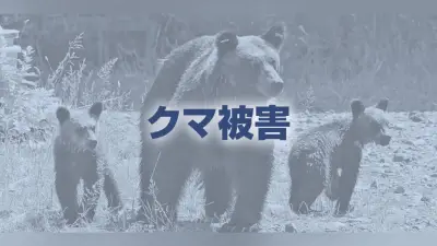 78歳男性、クマに襲われ搬送…顔や左手をひっかかれる 岩手・田野畑村