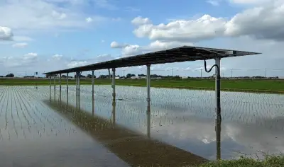 営農型太陽光発電の実証実験開始 長野県でソーラーシェアリング