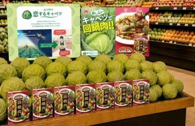 味の素、人工衛星データでキャベツ需給予測し「Cook Do」販促実証実験へ