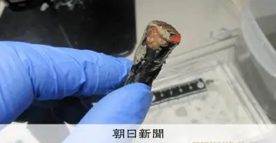 元寇船の泥から矢の末端発見、南宋の弩と特徴一致 長崎・鷹島海底遺跡