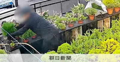 盆栽盗難、海外SNSに「いい盆栽ゲット」　被害者「うちの！」と仰天