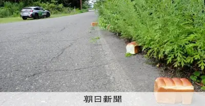 鳥取・大山の食パン投棄、知事「廃棄物処理法に抵触」　行為者特定へ