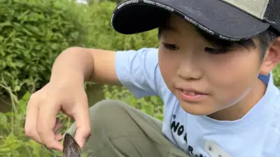 子供たちが育てたタガメをビオトープに放流　絶滅危惧種の保護学ぶ