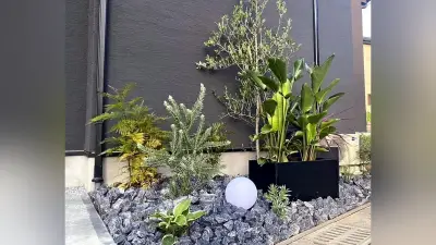 乾燥に強い植物と砂利の「ドライガーデン」人気、スタイリッシュで手入れも楽