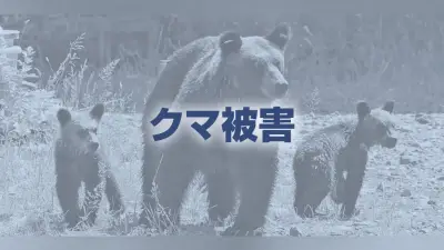 青森・十和田湖畔で外国人男性がクマに襲われ右腕かまれる、ドクターヘリ搬送も命に別状なし