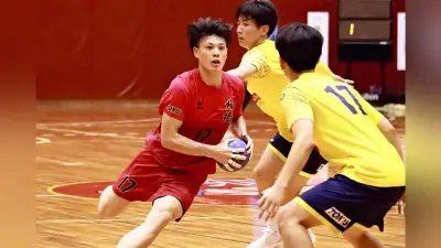 ハンドボール男子・北陸が４強入り、佐々木主将が最多得点