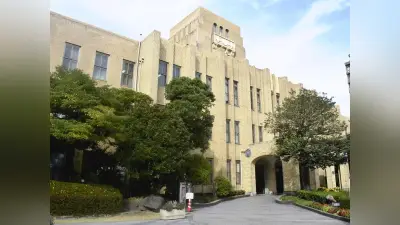 鹿児島市観光客963万人、4年連続増 クルーズ船寄港最多でインバウンド回復