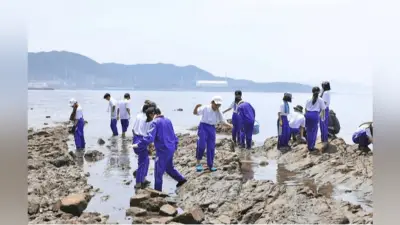 開明中２、海辺で生物観察の宿泊実習 和歌山や岬町で交流深める