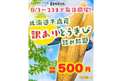 KDDI、新潟で5G人口カバー率100%達成を発表