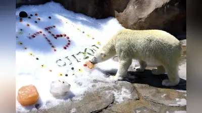 猛暑で動物も熱中症リスク、王子動物園が異例の告知と暑さ対策