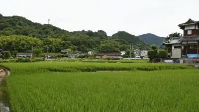 熊本地震、八代の防犯カメラが震源断層出現の瞬間を撮影　専門家「大変貴重だ」