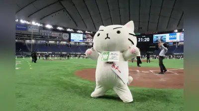 ミー太郎が東京ドームに凱旋！ファーム戦でキレキレY.M.C.A.披露