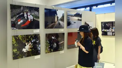 岩合光昭さんの写真展「日本ねこ歩き」が愛知県東海市で開催 全国15か所の四季折々の猫写真約150点展示中
