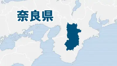 O157など腸管出血性大腸菌感染症が急増、奈良県と奈良市が注意喚起