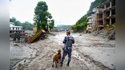 ネパール土石流、死者469人に 行方不明1400人超、捜索難航