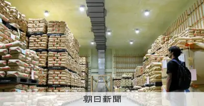 新潟産コシヒカリ、JA概算金は昨年比4割安　コメの在庫余りが影響