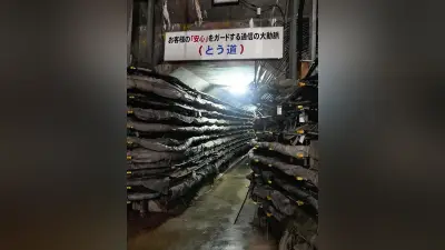 ＮＴＴ西日本、通信ケーブル守る地下トンネル「とう道」を公開 震度7や840度の熱に耐える