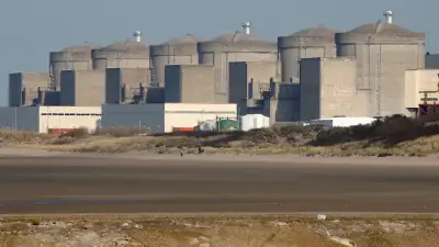 クラゲ大量発生で仏北部グラブリーヌ原発が運転停止　海水ポンプに流入