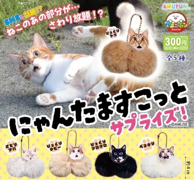 「にゃんたますこっと」第3弾登場、びっくりフェイスで8月20日発売