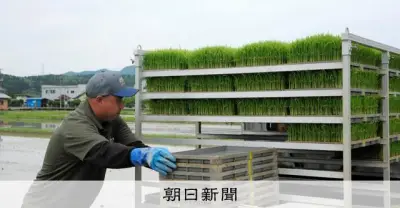 「なだ万」運営ONODERA GROUP、新潟・関川村でコメ自社生産開始