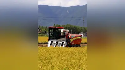 岐阜・海津市で県内トップ切る稲刈り、早場米「あきたこまち」収穫始まる