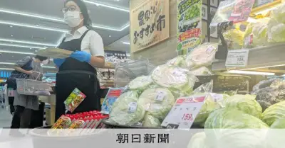 キャベツの旬を宇宙から先読み、食品ロス削減へ JAXAなどが首都圏と関西で展開