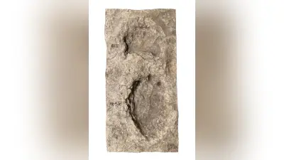 竜脚類の足跡化石、スペイン代表選手に由来する学名 福井で特別展