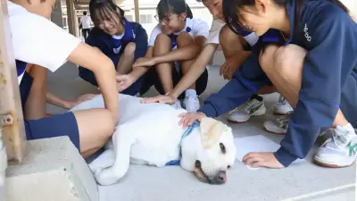 犬が学校に居場所を作る「スクールドッグ」、教育現場に広がる新しい風