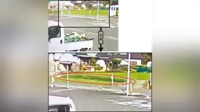 熊本地震で田んぼに断層出現、防犯カメラが捉える 専門家「学術的価値高い」