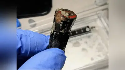 元寇船から南宋の矢発見、矢筈に溝なし 元が武器転用か
