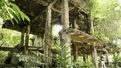 戦後81年、南の楽園パラオで戦火の記憶を辿る　ペリリュー島の惨禍と今