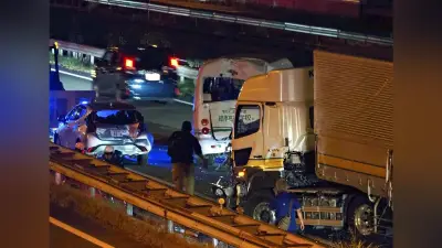 長崎道でマイクロバスにトレーラー追突、６台絡む事故で１１人けが 鳥栖ＩＣ付近