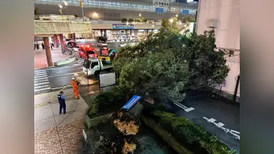 台風15号が熱帯低気圧に 茨城上陸で負傷者や倒木