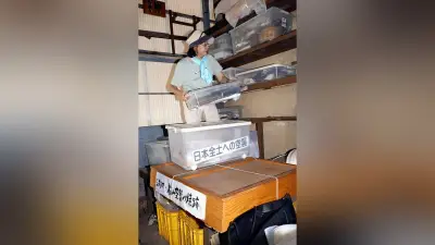 戦争資料の収蔵場所に限界、松山の市民団体が市に管理要望