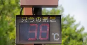 150万円の「人が入る冷却ボックス」が4カ月で300台販売 トラスコ中山の新商品