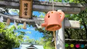 涼やかな風鈴1900個が境内彩る 堺・蜂田神社で風鈴まつり