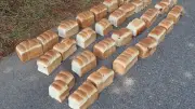 大山の国立公園に食パン38キロ投棄 石原環境相「クマ誘引、危険な行為」