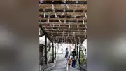 風鈴400個が涼を誘う花巻・鏑八幡神社と落差29mの滝観洞、岩手の夏の名所