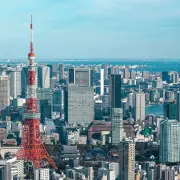 20年以上連続増配の日本株5選：花王、KDDIなど安定配当銘柄を紹介