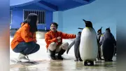 アドベンチャーワールドの教育企画チームが語る、動物の魅力を伝える工夫