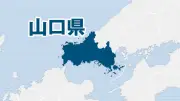 農水省、有機農業拡大へ新戦略 輸出支援と技術開発を強化